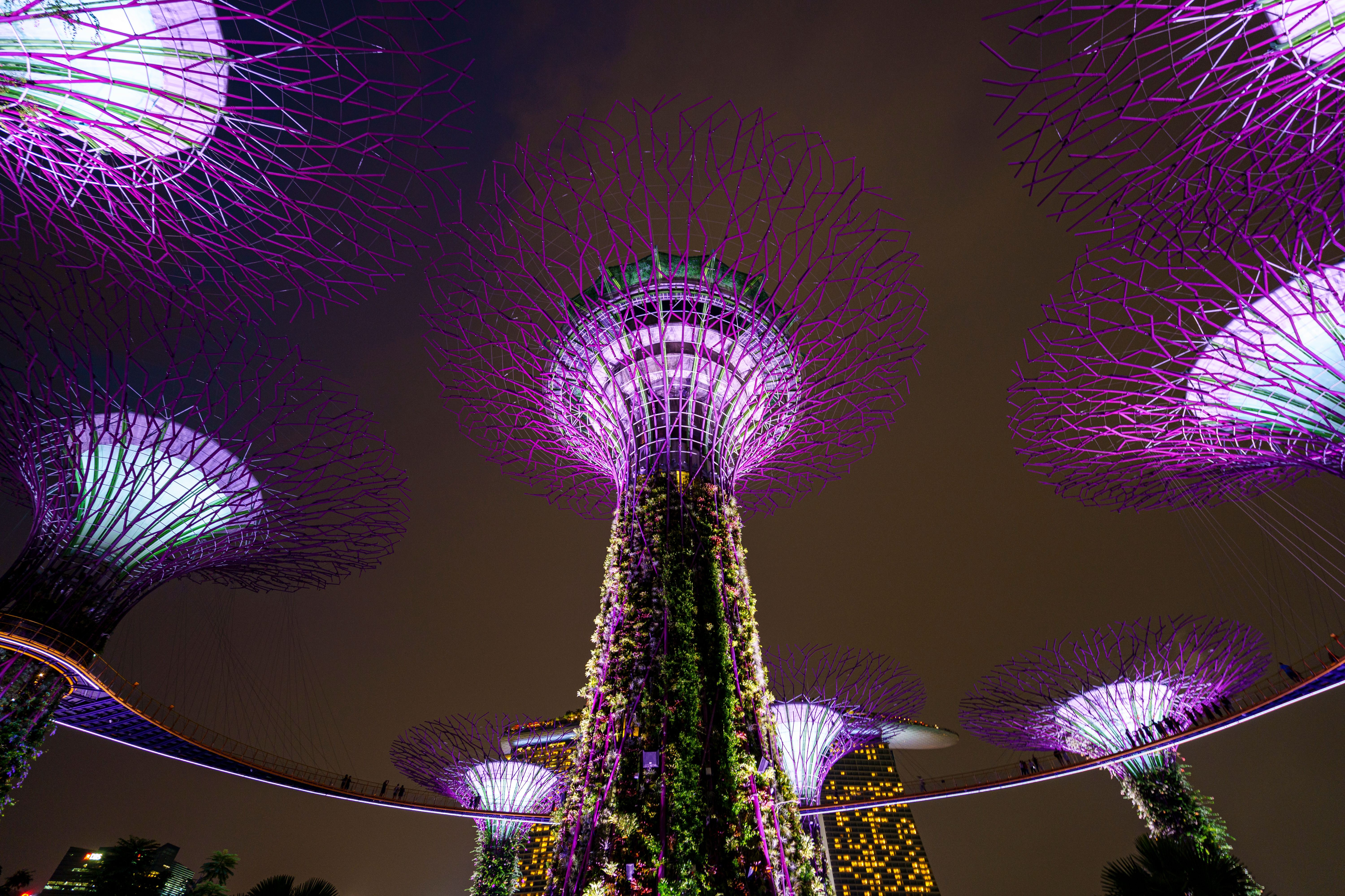 JTC Opens Tender for Kampong AI Hub, Singapore's First Dedicated AI Enterprise Community
