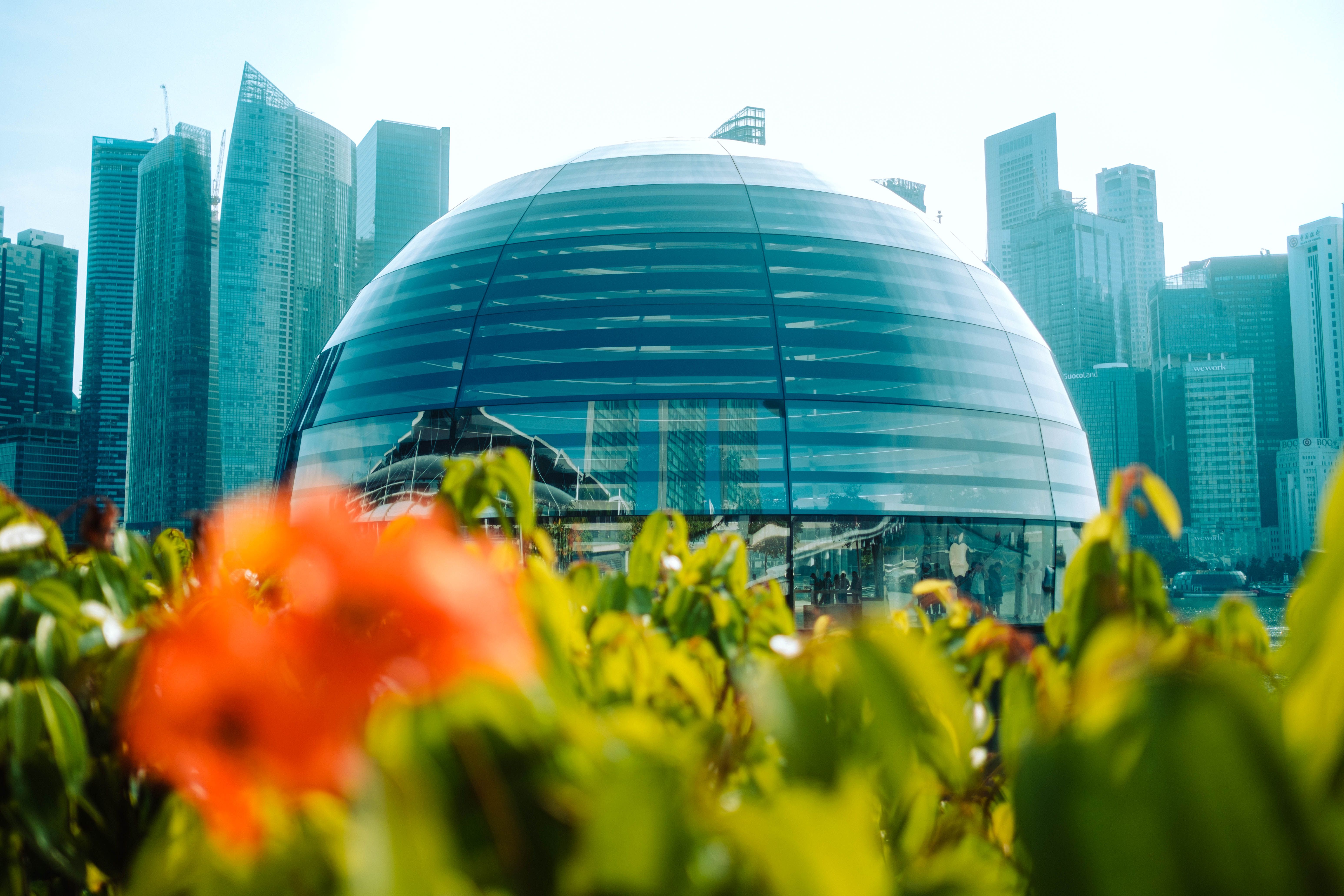 Luno Layoffs to Affect 20% of Staff Worldwide Amid Restructuring