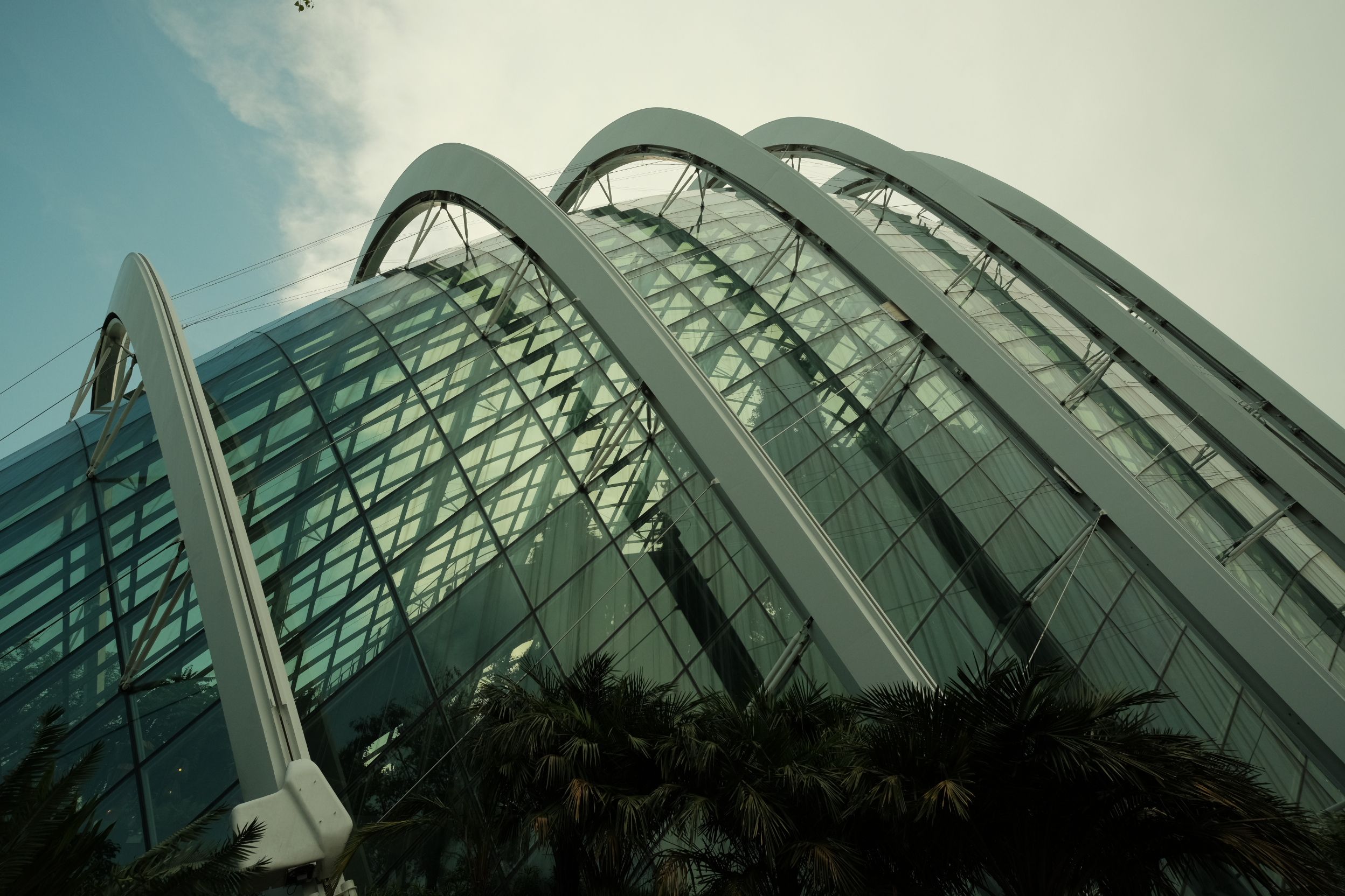 Singapore Stays Out of New World AI Cooperation Organization as ASEAN Splits on Membership